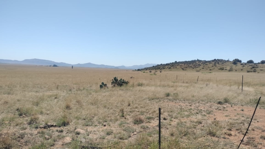  Bedroom Property for Sale in Bloemfontein Rural Free State
